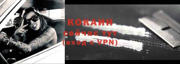 гашик Дмитровск