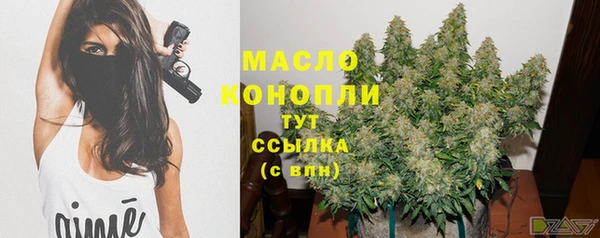 молекула духа Дмитров
