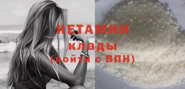 стаф Дмитриев